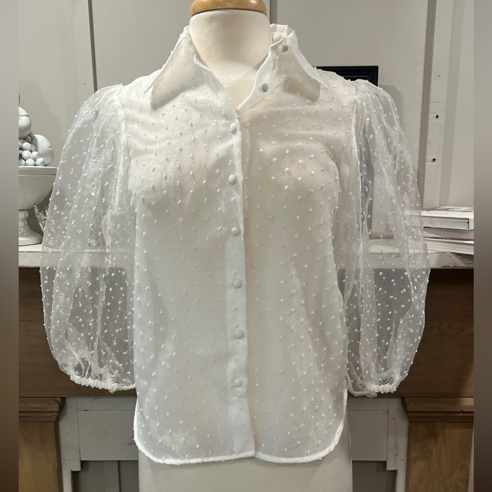 Zara Sheer White Puff Sleeve Blouse
